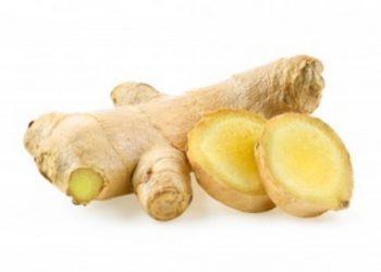 Mengenal Jahe, Khasiat dan Manfaatnya