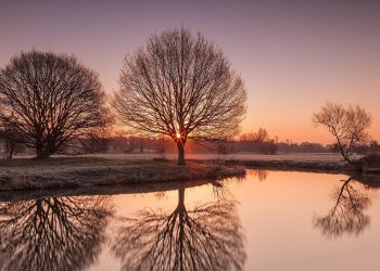 Antara Kebutuhan dan Keinginan
