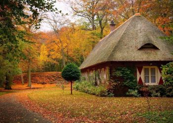 Membangun Keluarga dalam Keluarga (3)