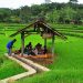 Belajar Gaul dengan Tetangga