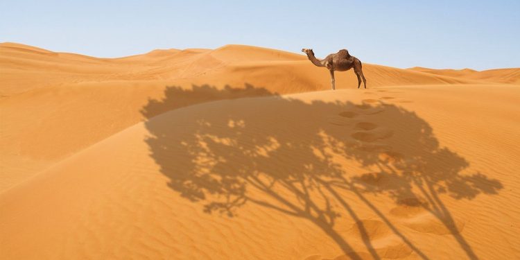 Peristiwa Wafatnya Abu Thalib dan Khadijah