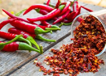 Ini Penyebab Maag yang Penting untuk Diketahui