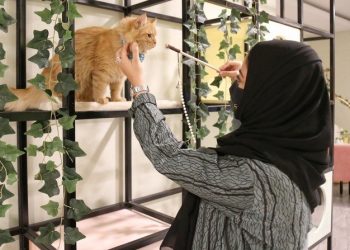Kafe Kucing Juga Merambah Ibu Kota Saudi Riyadh