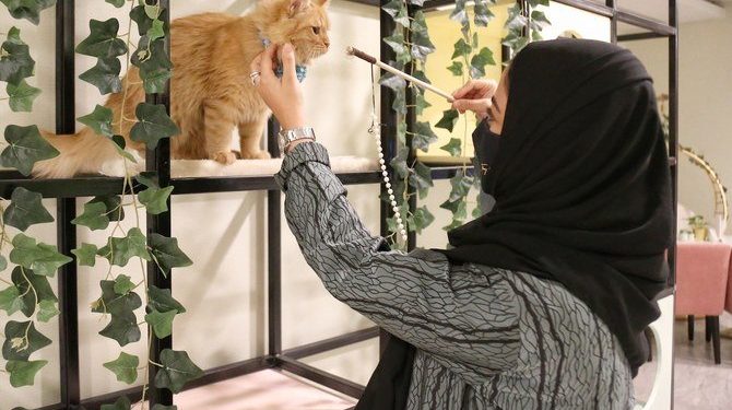 Kafe Kucing Juga Merambah Ibu Kota Saudi Riyadh