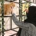 Kafe Kucing Juga Merambah Ibu Kota Saudi Riyadh