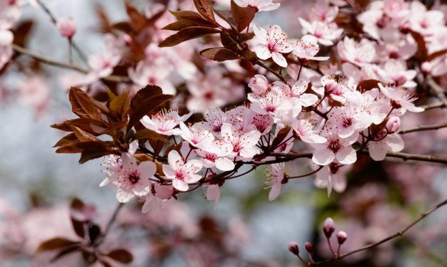 Dengan Kebersamaan Terbangun Keharmonisan