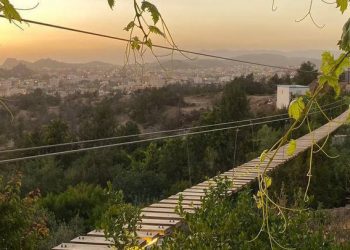 Insinyur Saudi Ubah Pertanian Pribadi Menjadi Taman Gantung