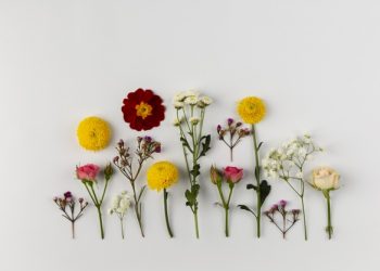 5 Nikmat yang Harus Disyukuri Suami Istri