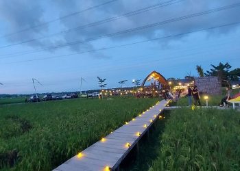 Sawah Lukis Binjai, Wisata Sejuk di Tengah Sawah yang Instagramable