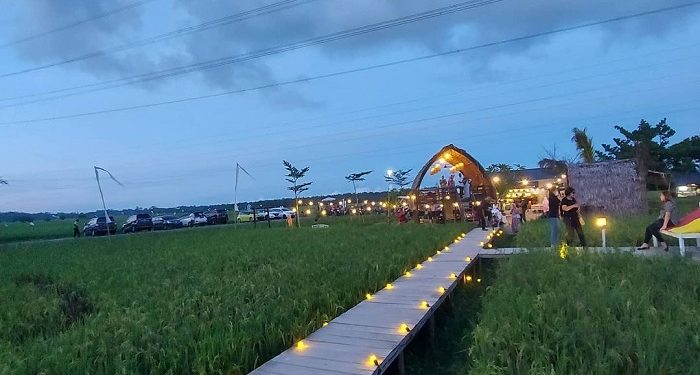 Sawah Lukis Binjai, Wisata Sejuk di Tengah Sawah yang Instagramable