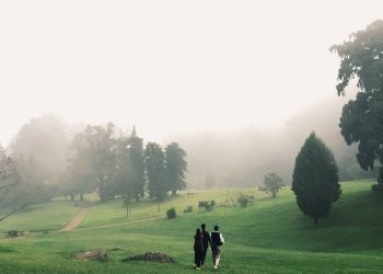 4 Kebun Raya yang Dikelola LIPI Masih Tutup Hingga 20 Juli 2021