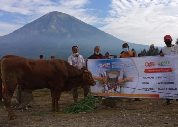 Qurban Tanpa Batas BMH Bahagiakan 21.597 Jiwa di Tengah Pandemi