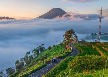 Ini dia Destinasi Wisata di Wonosobo, Negeri di Atas Awan
