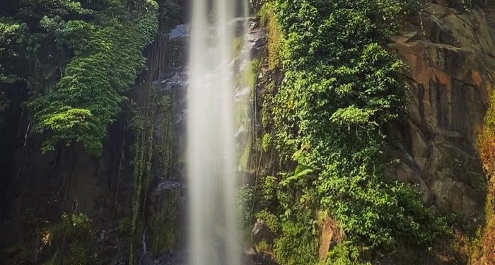 Rekomendasi Jalan-jalan Sehari di Sentul Bogor Usai PPKM