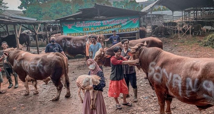 Tahun Ini Ria Ricis Borong Hewan Kurban Bobotnya Hingga 1,053 Ton