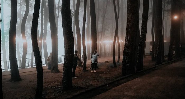 Inilah 4 Wisata Malam di Kota Bogor yang Bikin Nyaman