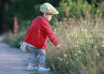 Perkembangan Bayi pada Usia 1 Tahun