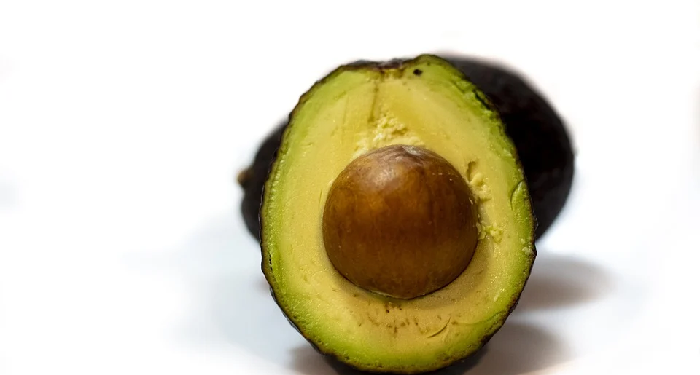 Menyemai Biji Alpukat di dalam Air