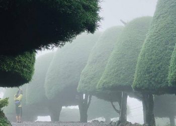 Bukit Jamur Ciwidey, Wisata Romantis Berselimut Kabut