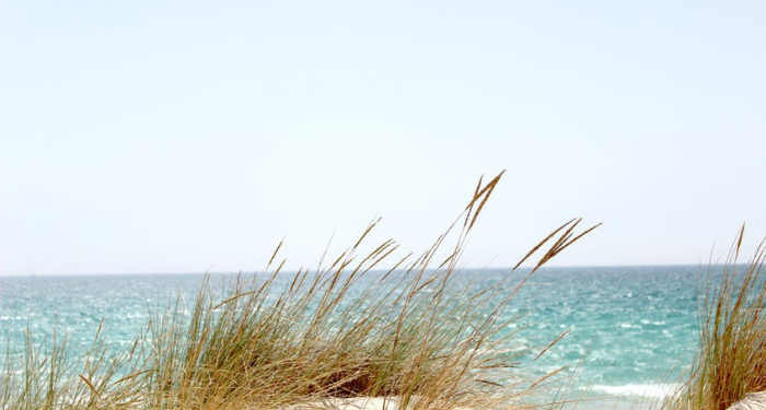 Mengenal Asma’ binti Abu Bakar, Perempuan Kuat Serba Bisa