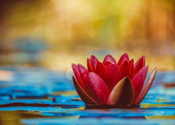 Tafsir Surat Yasin Ayat 18 dan 19