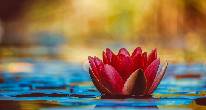 Tafsir Surat Yasin Ayat 18 dan 19