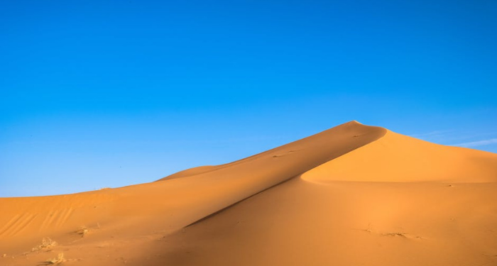 Pertempuran Qadisiyah, Penentu Masa Depan Islam