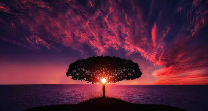 Ketika Prancis Meminta Pertolongan Kaum Muslimin