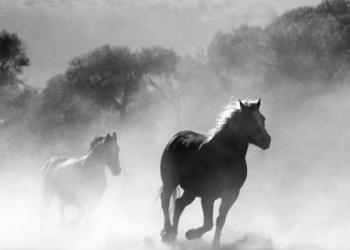 Kisah Kemenangan Umat Islam di Pertempuran Keresztes (1)