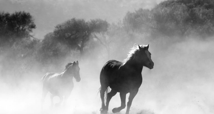 Kisah Kemenangan Umat Islam di Pertempuran Keresztes (1)