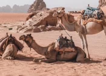 Kisah Abdul Muthalib Menggali Sumur Zamzam (3)