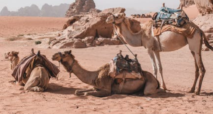 Kisah Abdul Muthalib Menggali Sumur Zamzam (3)