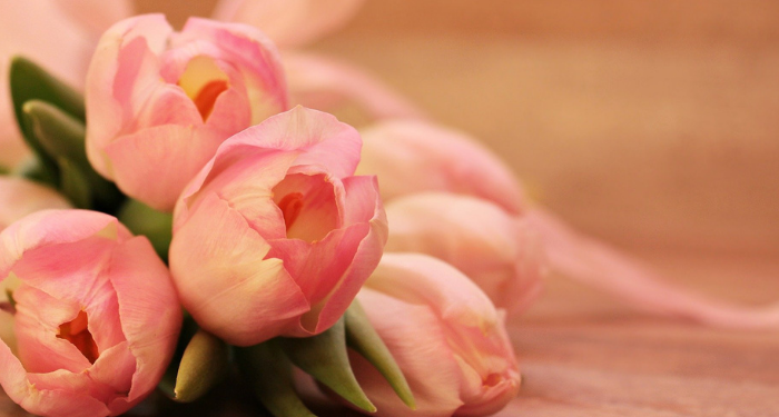 Tafsir Surat Yasin Ayat 24, 25, 26, Laki-laki tersebut Dibunuh