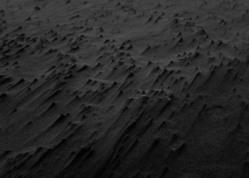 Mista’arvim, Penyusup di antara Para Pejuang Palestina