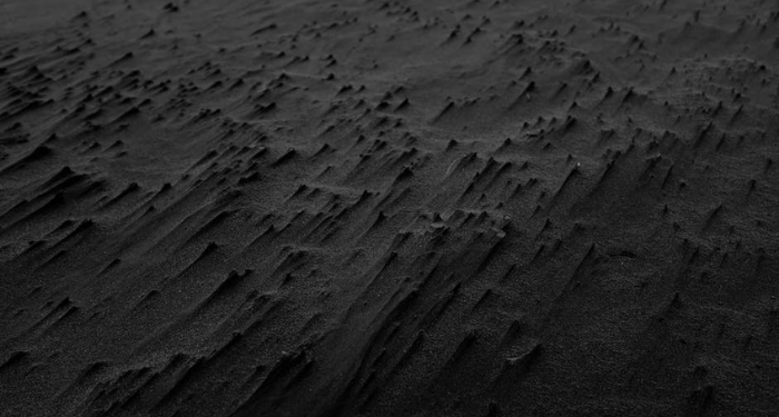 Mista’arvim, Penyusup di antara Para Pejuang Palestina