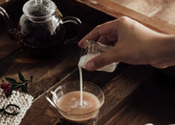 Kisah Kelahiran Nabi Muhammad yang Membawa Keberkahan untuk Ibu Susunya (1)