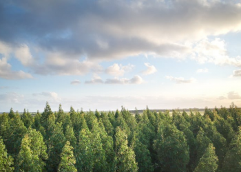 Peluang Kerja bagi Lulusan Fakultas Kehutanan