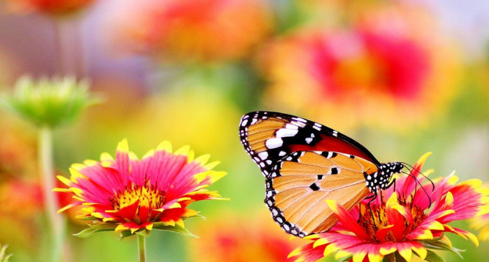 Kisah Kecintaan Rasulullah kepada Keluarganya (1)