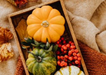 Labu Menjadi Bagian Penting bagi Nabi Yunus dan Rasulullah