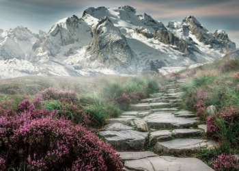 Mengetahui Kebiasaan Rasulullah yang Mudah Ditiru