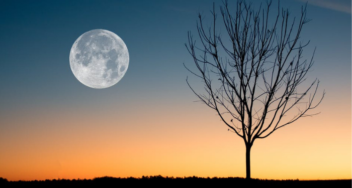 Kisah Imam Bakr Al-Muzani dalam Memandang Orang lain