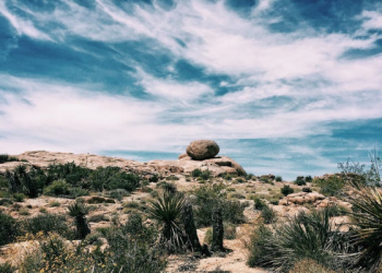 Mengenal Pencapaian Ayahnya Para Raja, Abdul Malik bin Marwan