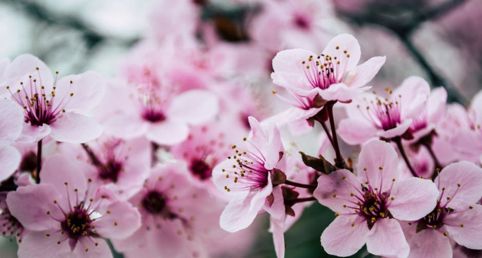 Kisah Muhammad pada Awal Menjadi Rasulullah (3)