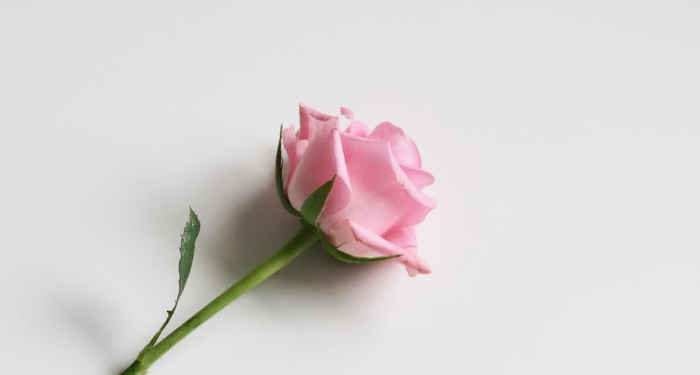 Kisah Muhammad pada Awal Menjadi Rasulullah (3)