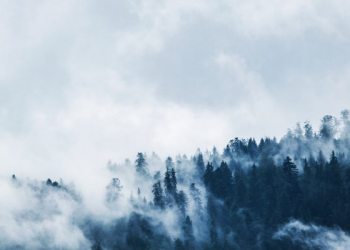 Muhiddin Piri, Pemimpin Ekspedisi yang Jasanya Dilupakan karena Fitnah