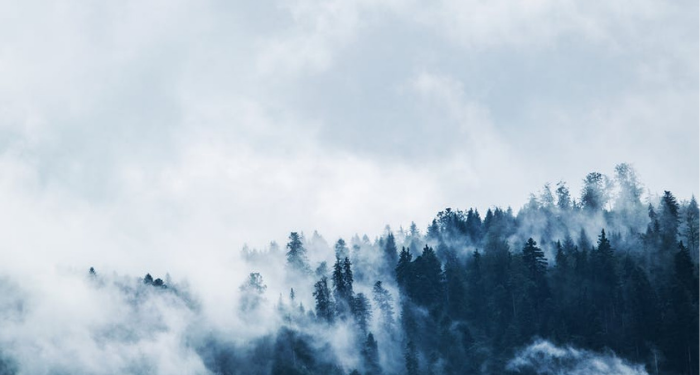 Muhiddin Piri, Pemimpin Ekspedisi yang Jasanya Dilupakan karena Fitnah