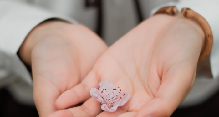 Kisah Rasulullah Tersenyum saat Abu Bakar Dicaci