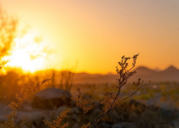 Kisah Abu Thalib Teguh Melindungi Rasulullah