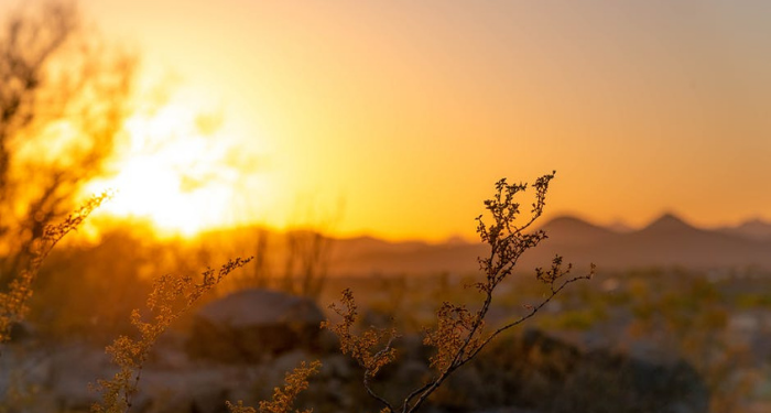 Kisah Abu Thalib Teguh Melindungi Rasulullah