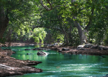 Tafsir Surat Al-Kahfi Ayat 5 dan 6